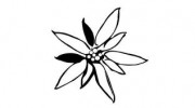 Edelweiss Wood Flooring